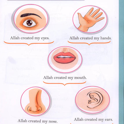 The Happy Muslim: KG2