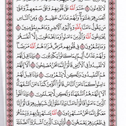 Mushaf al-Madinah (Small, Non Saudi Version) مصحف المدينة