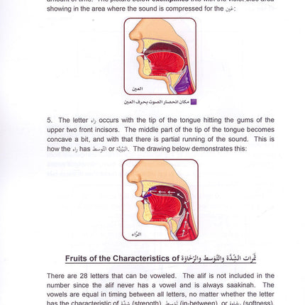Tajweed Rules of the Quran: Part Two أحكام تجويد القرآن