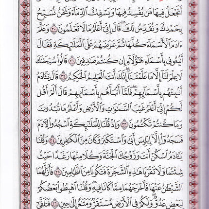 Mushaf al-Madinah (Small, Non Saudi Version) مصحف المدينة