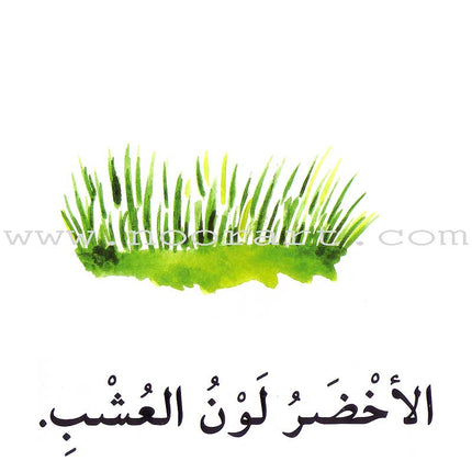 Read in Arabic Series - Yellow Collection: Third Group (8 Books) سلسلة اقرأ بالعربية – المجموعة الصفراء