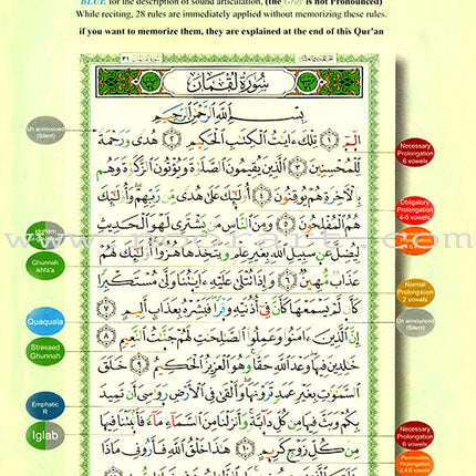 Tajweed Qur'an (Whole Qur'an, With Meaning Translation in English) (Colors May Vary) مصحف التجويد