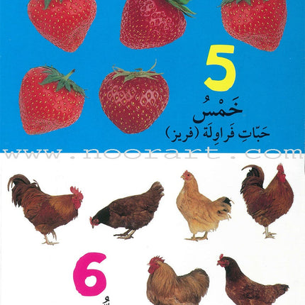 Numbers, Colors, and Shapes الأرقام والألوان والأشكال