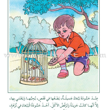 Arabic Graded Stories: Grade 3 (4 Books) مشروع المنهل التعليمي