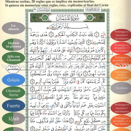Tajweed Qur'an (Whole Qur'an, With Spanish Translation and Transliteration) (Colors May Vary) مصحف التجويد