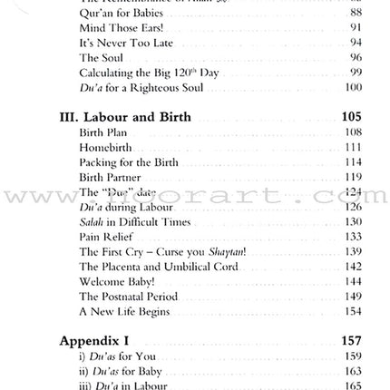 Heaven Under Your Feet - Pregnancy for Muslim Women