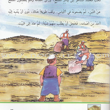 Arabic Graded Stories: Grade 4 (5 Books) مشروع المنهل التعليمي
