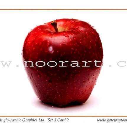 Gateway to Arabic Flashcards: Level 3