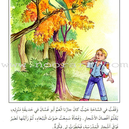 Arabic Graded Stories: Grade 3 (4 Books) مشروع المنهل التعليمي