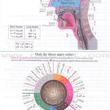 Tajweed Qur'an (Juz' Tabarak, With Meaning Translation in English and Transliteration) (7"x 9") مصحف التجويد