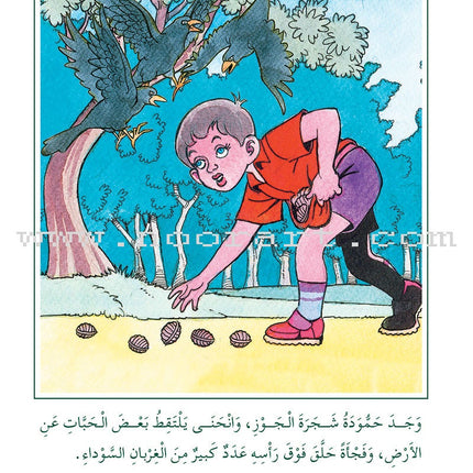 Arabic Graded Stories: Grade 3 (4 Books) مشروع المنهل التعليمي