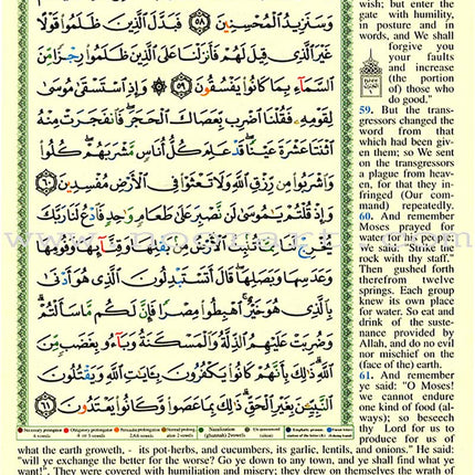 Tajweed Qur'an (Whole Qur'an, With Meaning Translation in English) (Colors May Vary) مصحف التجويد
