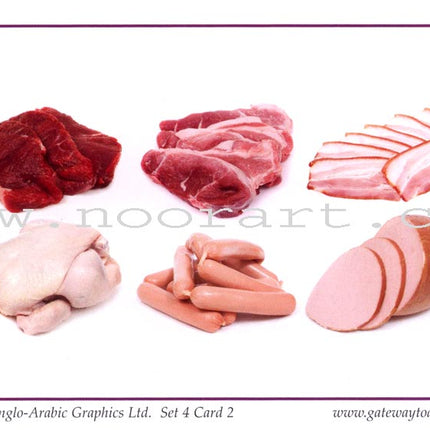 Gateway to Arabic Flashcards: Level 4