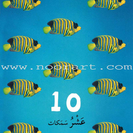 Numbers, Colors, and Shapes الأرقام والألوان والأشكال