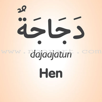 My First 50 Arabic Words