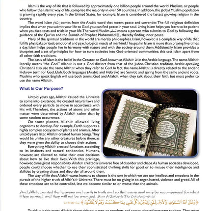 What Islam is All About (Paperback)