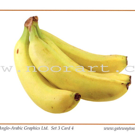 Gateway to Arabic Flashcards: Level 3