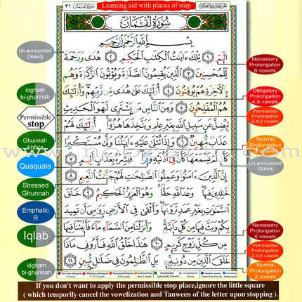 Tajweed Qur'an (Whole Qur'an, With Meaning Translation and Transliteration in English) مصحف التجويد