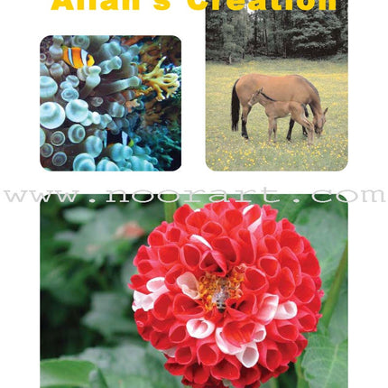 I Love Islam Textbook: Level 5