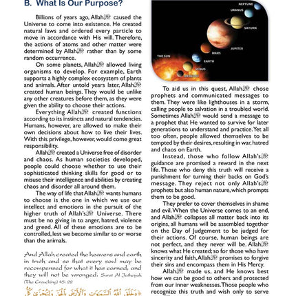 It's ALL About Islam: Level 8