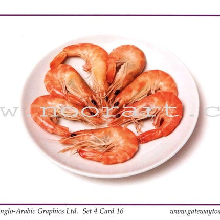 Gateway to Arabic Flashcards: Level 4