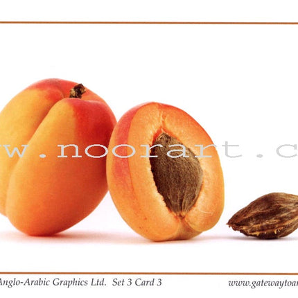 Gateway to Arabic Flashcards: Level 3