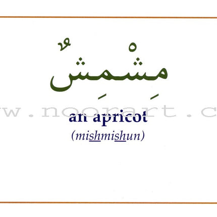 Gateway to Arabic Flashcards: Level 3