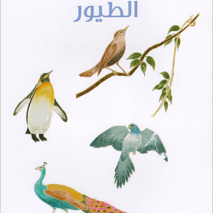 The Reading Tree Series: Begginer Level Group 1 (Set of 10 Books) سلسلة شجرة القراءة