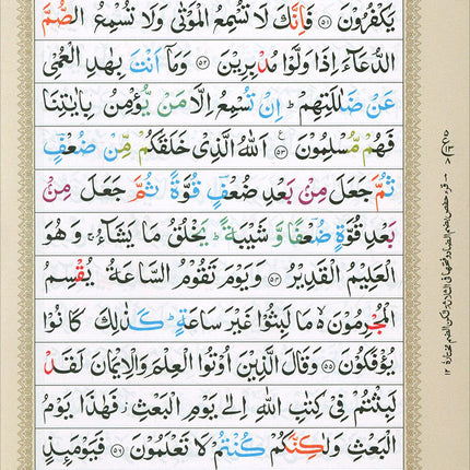 Color-Coded Panj Set Complete Quran in Six Volumes (with Color Manzils): Tajweed Rules in English & Urdu