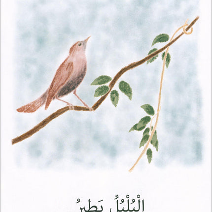 The Reading Tree Series: Begginer Level Group 1 (Set of 10 Books) سلسلة شجرة القراءة