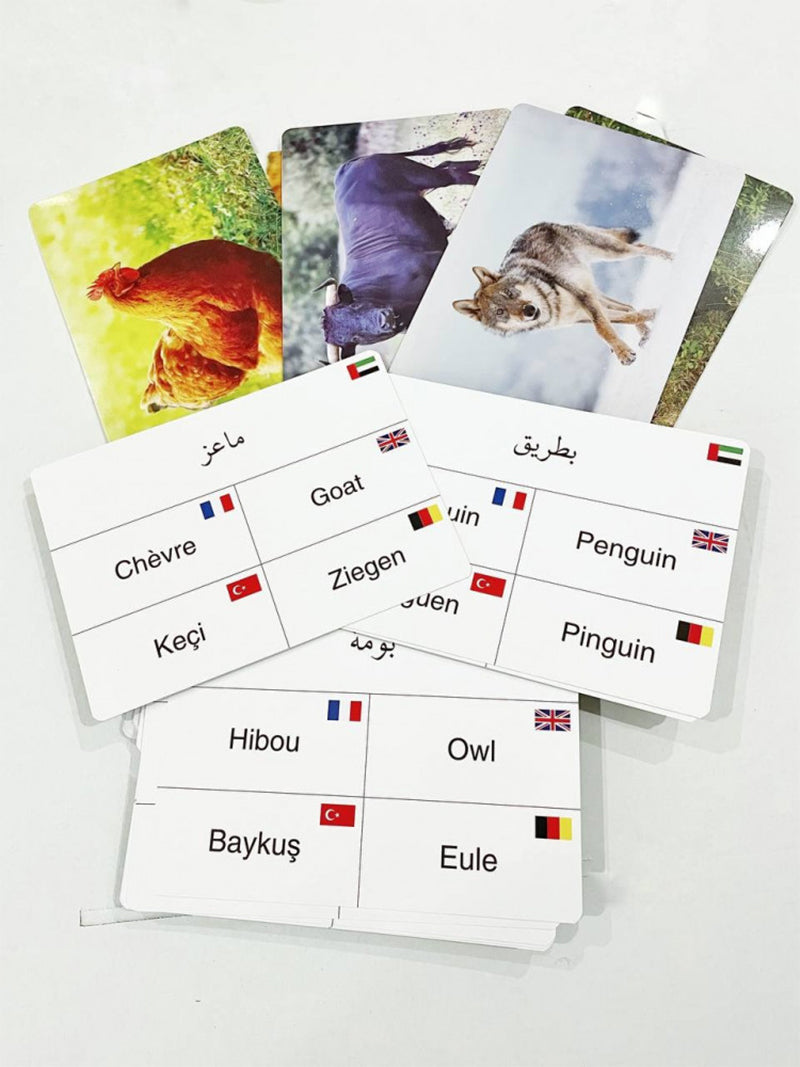 Animals card بطاقات الحيوانات