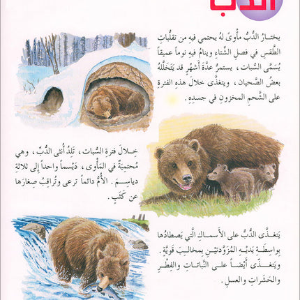Animal's World series (Set of 6 books) سلسلة عالم الحيوانات