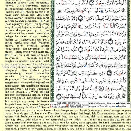 Tajweed Qur'an (Whole Qur'an, With Malaysian Translation) (Colors May Vary) مصحف التجويد