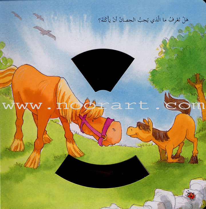 The Key to the Solution Series (set of 3 books) سلسلة مفتاح الحل