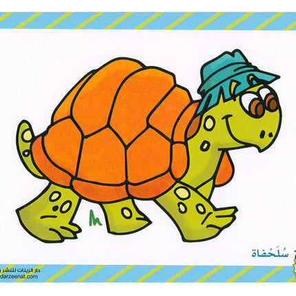 Sanabel Flash Cards: Picture & Words, (KG Level) بطاقات سنابل الصور والكلمات
