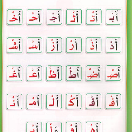The Integrated Establishment: Volume 3 (Alphabet Letters Book) التأسيس المتكامل: كتاب السكون والتنوين والشدة