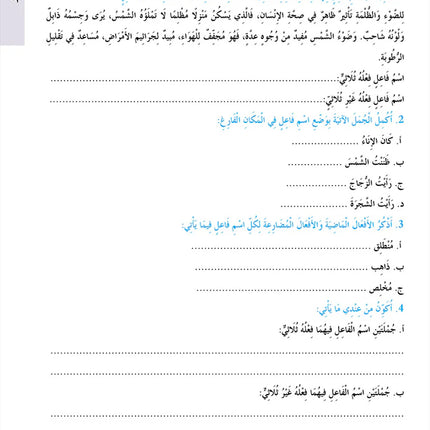 In the Arabic Language Garden Simplified Grammar: Level 7 في حديقة اللغة العربية كتاب التمارين