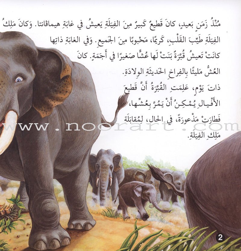 Stories and Lessons Series (4 books) قصص وعبر