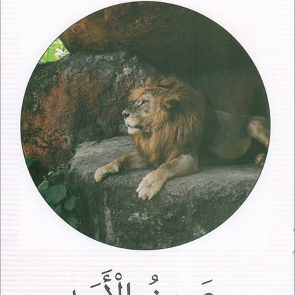 The Reading Tree Series: Begginer Level Group 1 (Set of 10 Books) سلسلة شجرة القراءة