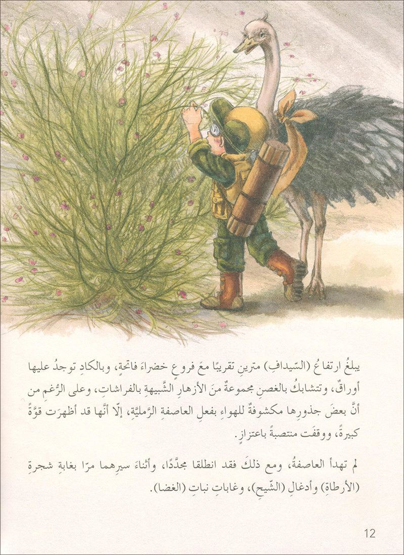 The Jungle's Mystery Series (Set of 8 Books) سلسلة الغاز الغابة