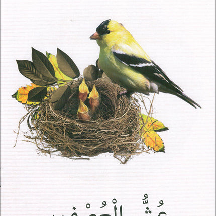 The Reading Tree Series: Begginer Level Group 1 (Set of 10 Books) سلسلة شجرة القراءة