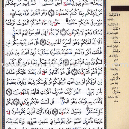 Tajweed Qur'an (Whole Qur'an, With Zipper, Size: "7x9") (Colors May Vary) مصحف التجويد