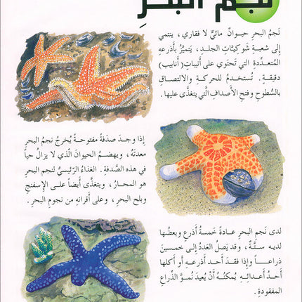Animal's World series (Set of 6 books) سلسلة عالم الحيوانات