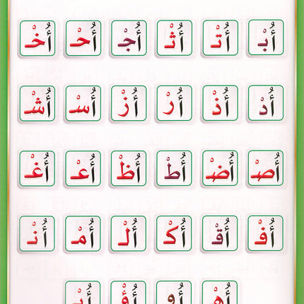 The Integrated Establishment: Volume 3 (Alphabet Letters Book) التأسيس المتكامل: كتاب السكون والتنوين والشدة