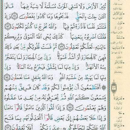 Tajweed Qur'an with QR Code (Whole Qur'an, Size: 7"x9.75", Colors May Vary) مصحف التجويد