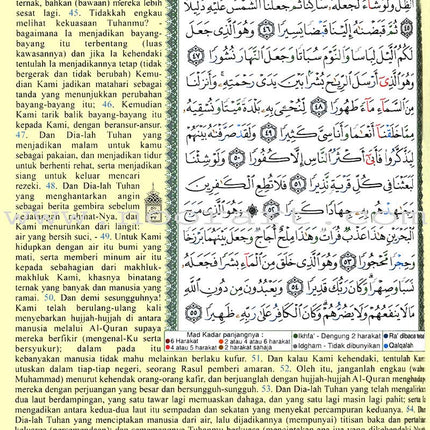 Tajweed Qur'an (Whole Qur'an, With Malaysian Translation) (Colors May Vary) مصحف التجويد