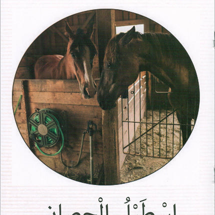 The Reading Tree Series: Begginer Level Group 1 (Set of 10 Books) سلسلة شجرة القراءة