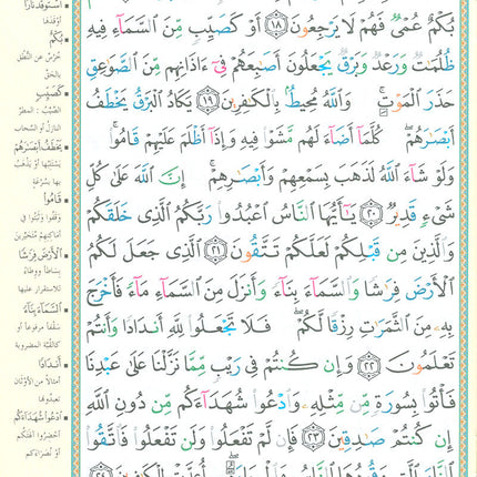 Tajweed Qur'an (Whole Qur'an in 30 Individual Juz', 7" x 10", with Leather Case – Case Color May Vary) مصحف التجويد