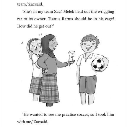 Hijabi Girl - Making Friends (Young Novel)