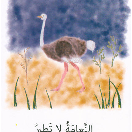 The Reading Tree Series: Begginer Level Group 1 (Set of 10 Books) سلسلة شجرة القراءة